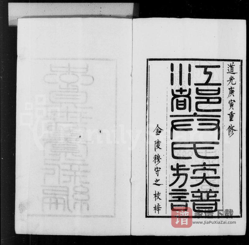 江苏扬州江都卞氏族谱PDF高清电子版下载-家谱下载