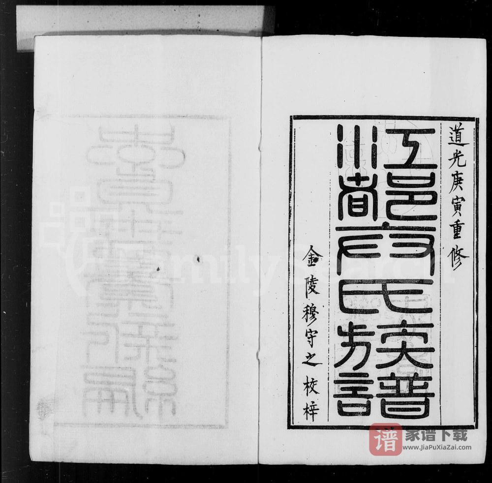 图片[1]-江苏扬州江都卞氏族谱PDF高清电子版下载-家谱下载