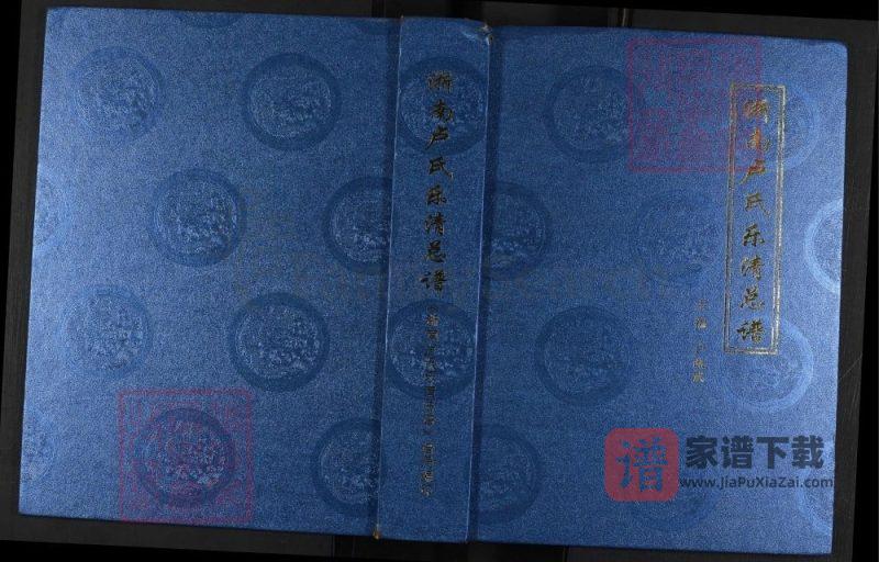 浙江浙南卢氏乐清总谱PDF高清电子版下载-家谱下载