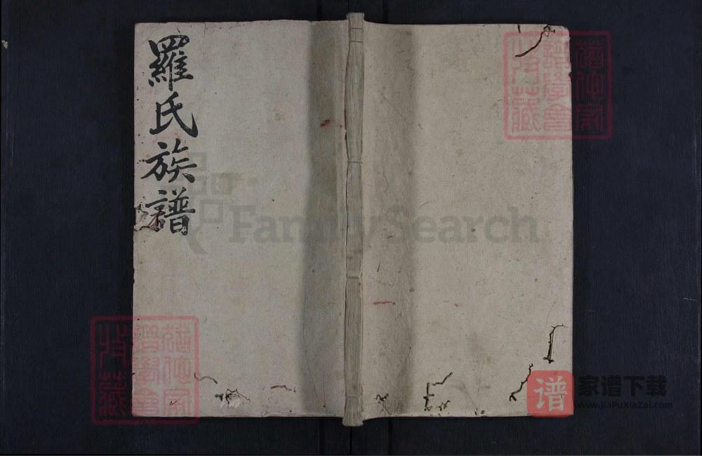湖南娄底新化县罗氏四修族谱（豫章堂）PDF高清电子版下载
