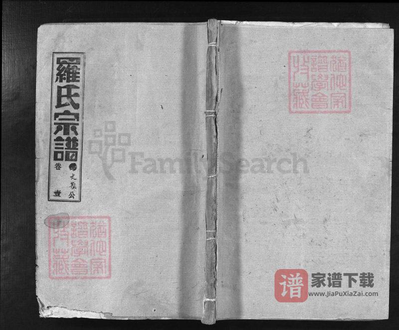 湖北大冶罗氏宗谱文茂公支(柏林堂)PDF高清电子版下载-家谱下载