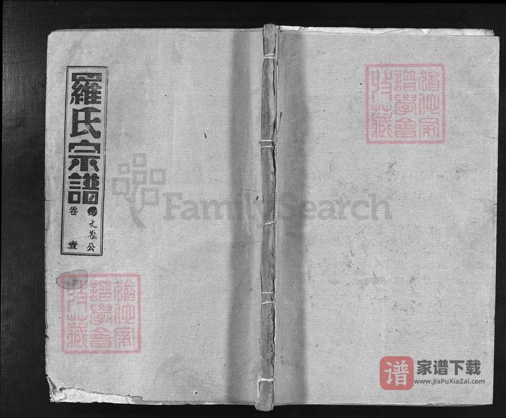 湖北大冶罗氏宗谱文茂公支（柏林堂）PDF高清电子版下载