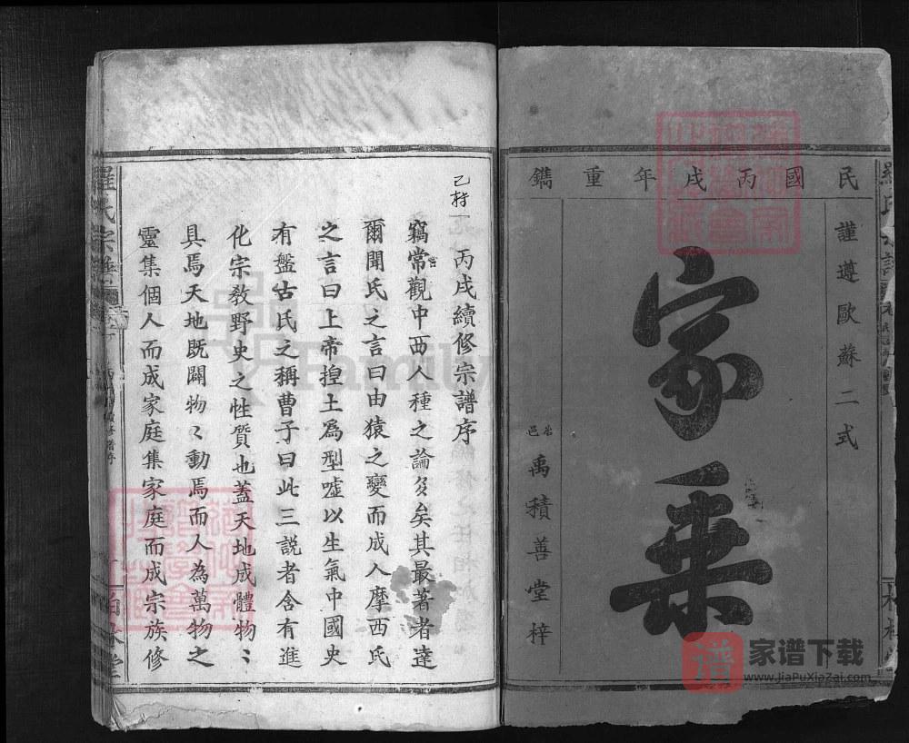 图片[2]-湖北大冶罗氏宗谱文茂公支（柏林堂）PDF高清电子版下载-家谱下载