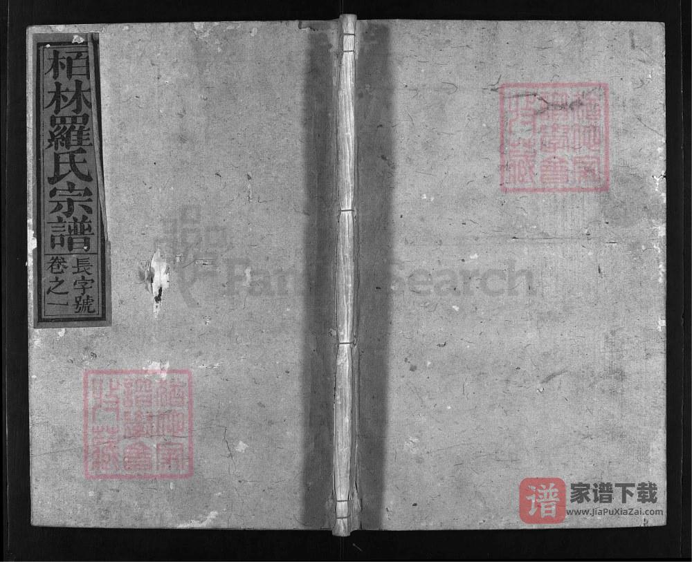 江西上饶栢林罗氏宗谱PDF高清电子版下载