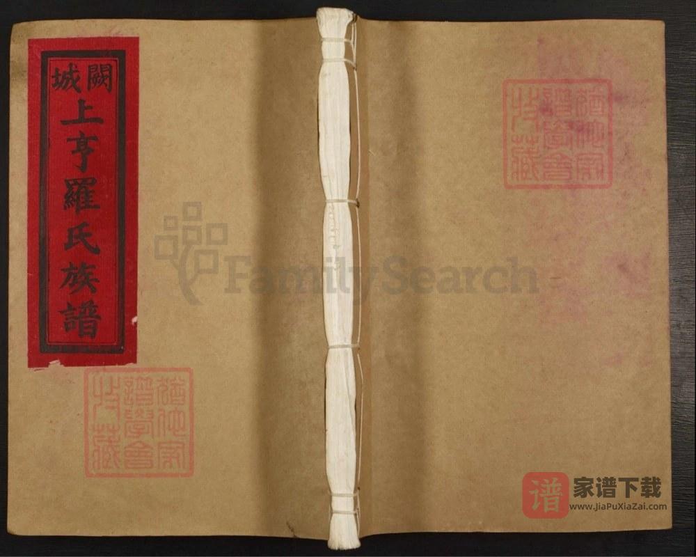 江西吉安泰和县阙城上亨罗氏族谱PDF高清电子版下载
