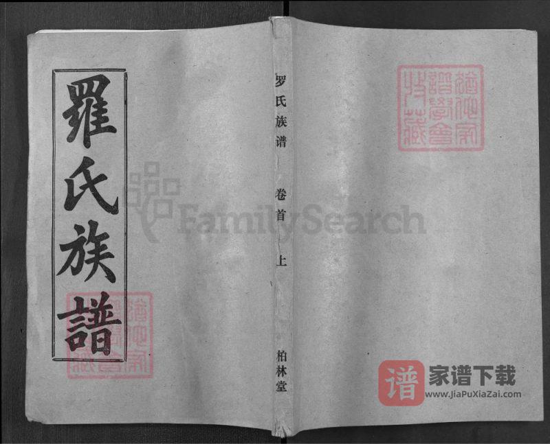 湖北麻城罗氏族谱(柏林堂)PDF高清电子版下载-家谱下载