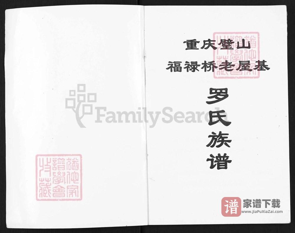 重庆璧山福禄桥老屋基罗氏族谱PDF高清电子版下载