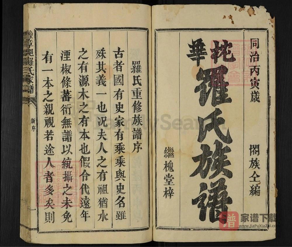 图片[2]-福建宁化豫章郡罗氏家谱（继槐堂）PDF高清电子版下载-家谱下载