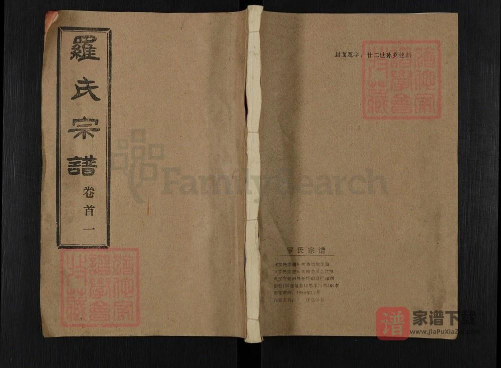 湖北武汉新洲区罗氏宗谱（柏林堂）PDF高清电子版下载