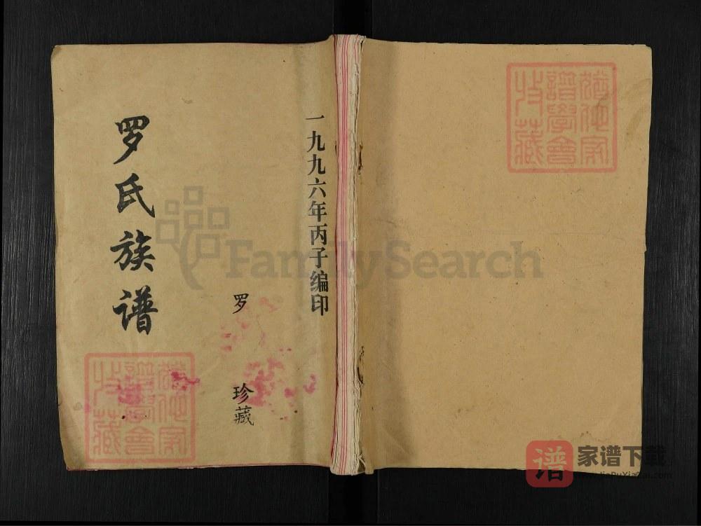 湖南益阳桃江县罗氏八修族谱（豫章堂）PDF高清电子版下载
