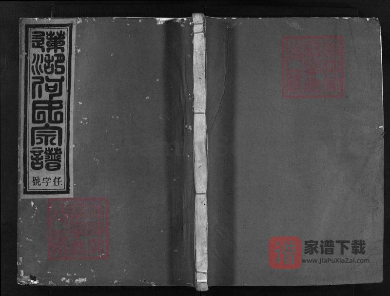 浙江兰溪瀔西莲湖何氏宗谱(彝伦堂)PDF高清电子版下载-家谱下载