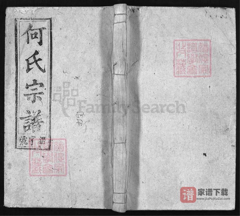 图片[1]-安徽安庆宿松县何氏宗谱（策枚堂）PDF高清电子版下载-家谱下载