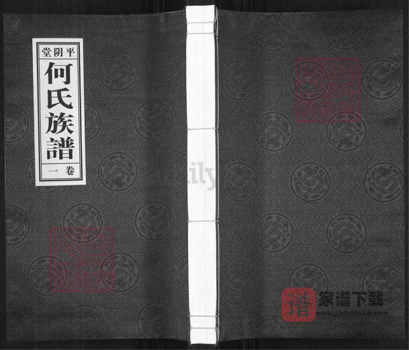 山东济南平阴县何氏族谱(平阴堂)PDF高清电子版下载-家谱下载