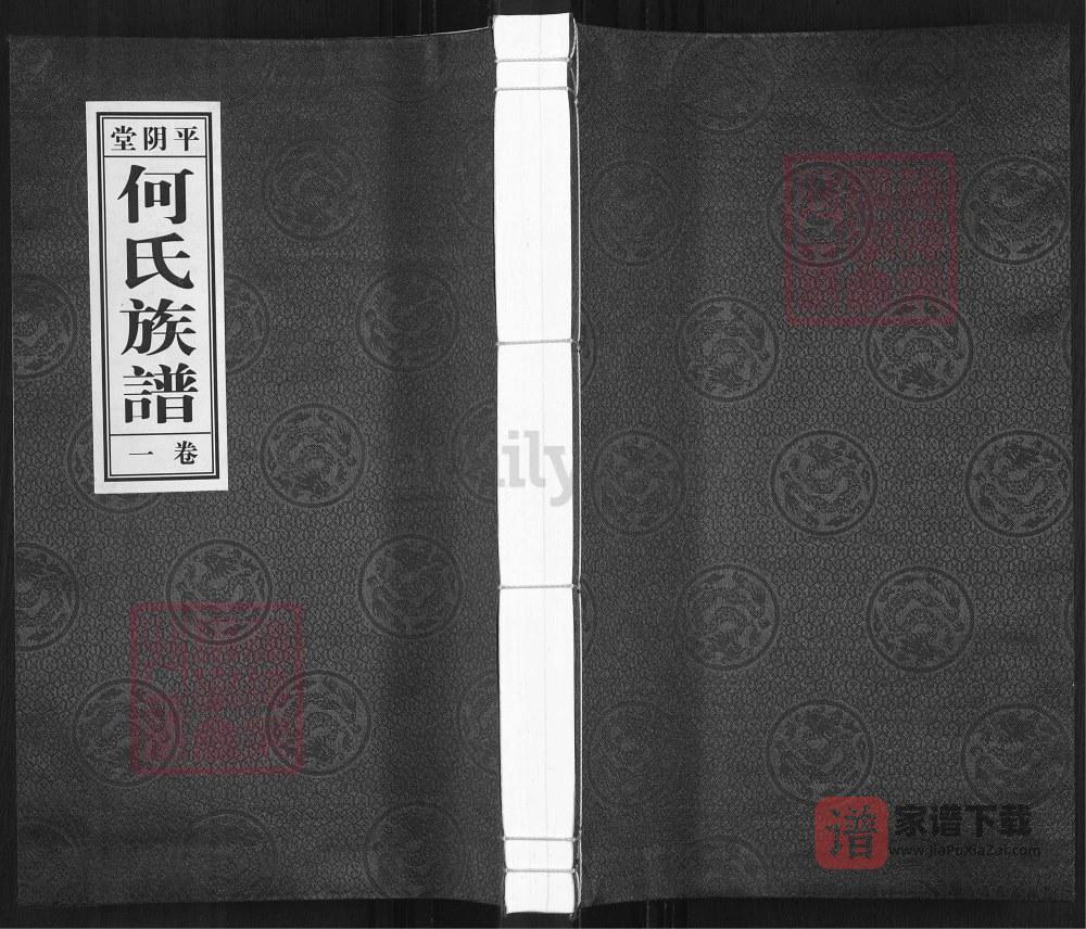 山东济南平阴县何氏族谱（平阴堂）PDF高清电子版下载