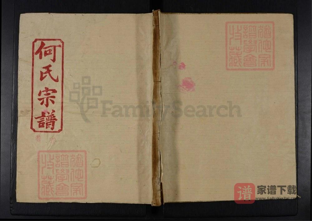 湖北黄冈黄梅县何氏宗谱（九井堂）PDF高清电子版下载