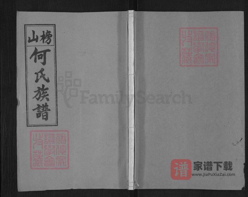 湖南浏阳榜山何氏族谱(九九堂)PDF高清电子版下载-家谱下载