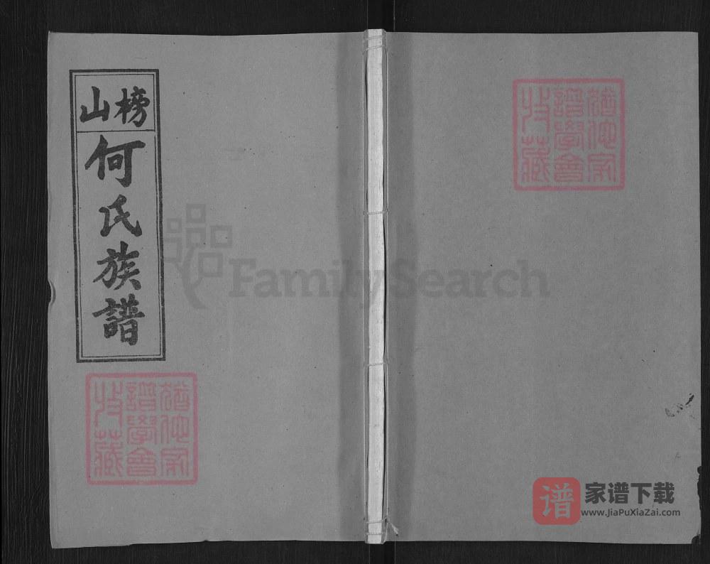 湖南浏阳榜山何氏族谱（九九堂）PDF高清电子版下载