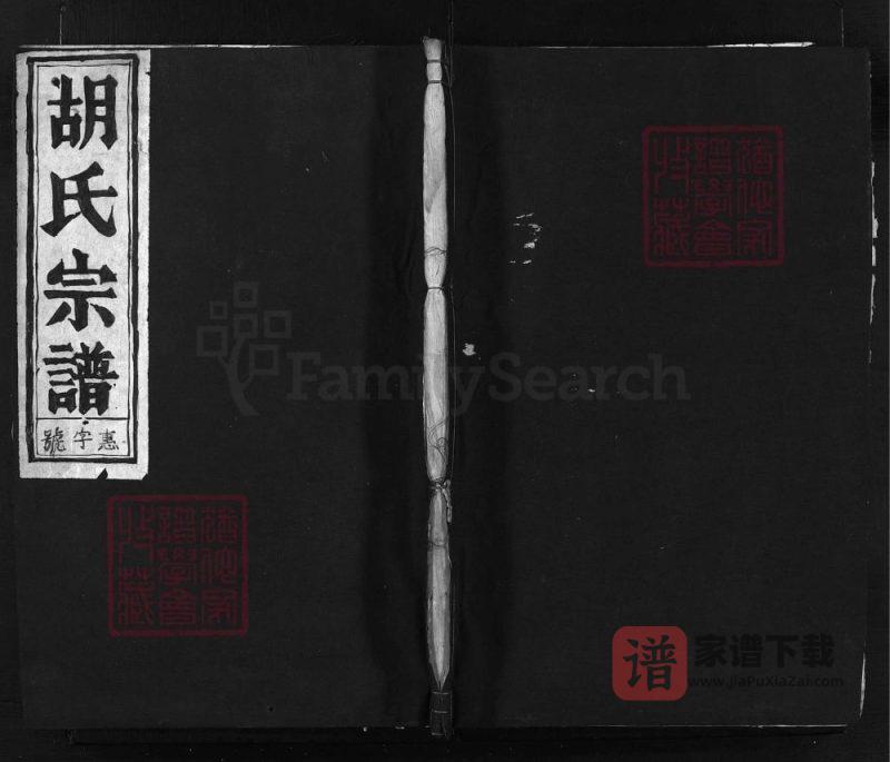 浙江兰溪庙山胡氏宗谱(瑞和堂)PDF高清电子版下载-家谱下载
