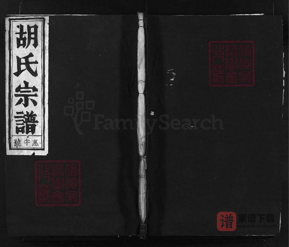 浙江兰溪庙山胡氏宗谱（瑞和堂）PDF高清电子版下载
