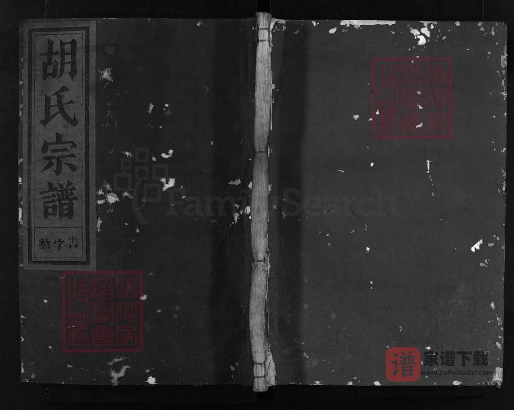 浙江兰溪西湖胡氏宗谱（永和堂）PDF高清电子版下载