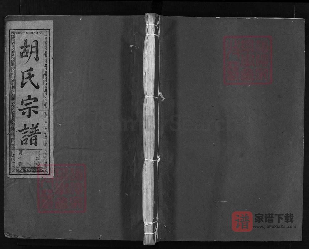浙江兰溪安定胡氏宗谱PDF高清电子版下载