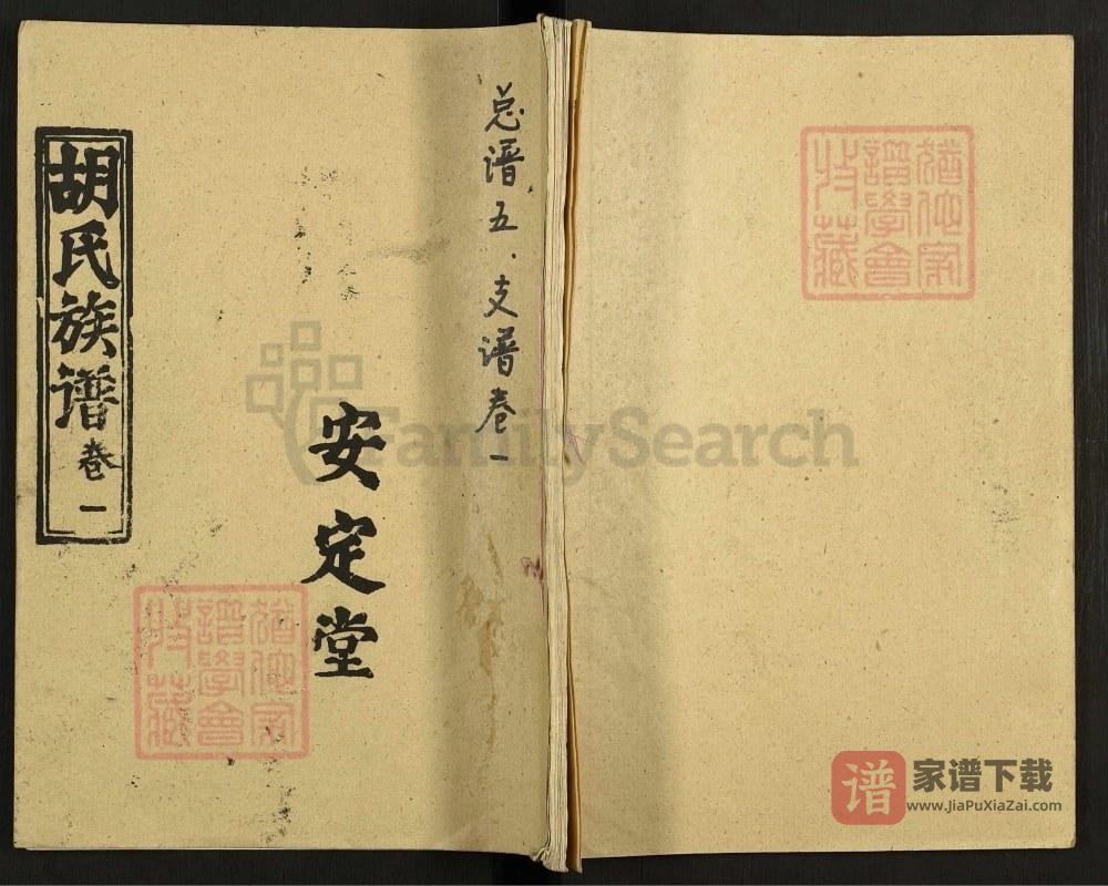 湖北咸宁通城县胡氏族谱（安定堂）PDF高清电子版下载