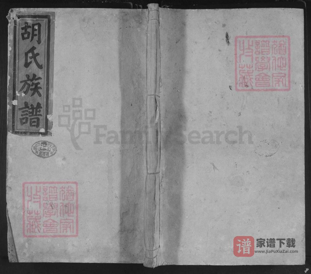 湖南邵阳胡氏族谱（苏湖堂）PDF高清电子版下载