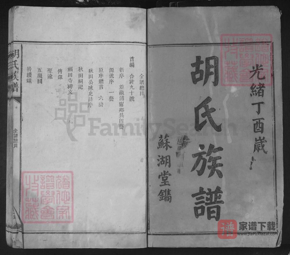 图片[2]-湖南邵阳胡氏族谱（苏湖堂）PDF高清电子版下载-家谱下载