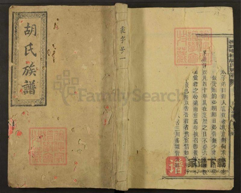 湖南汝城中桂胡氏族谱PDF高清电子版下载-家谱下载