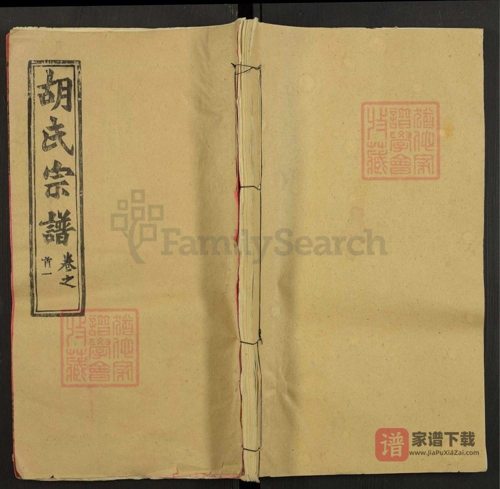 湖北黄冈河南信阳合修胡氏宗谱（安定堂）PDF高清电子版下载