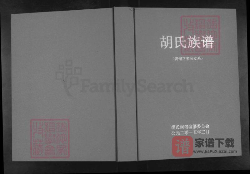 贵州毕节大方县胡氏族谱(贵州正杰公支系)PDF高清电子版下载-家谱下载