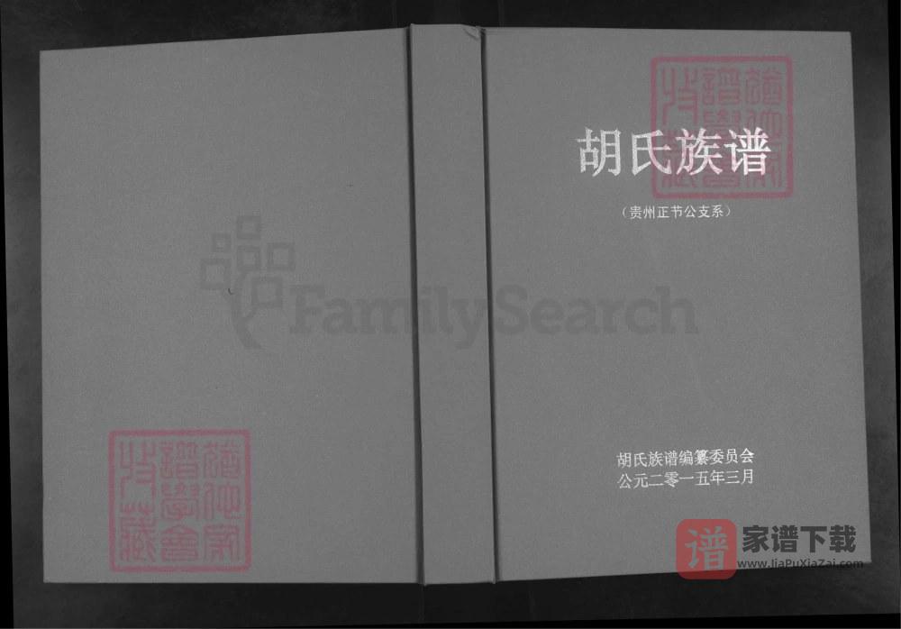 贵州毕节大方县胡氏族谱（贵州正杰公支系）PDF高清电子版下载