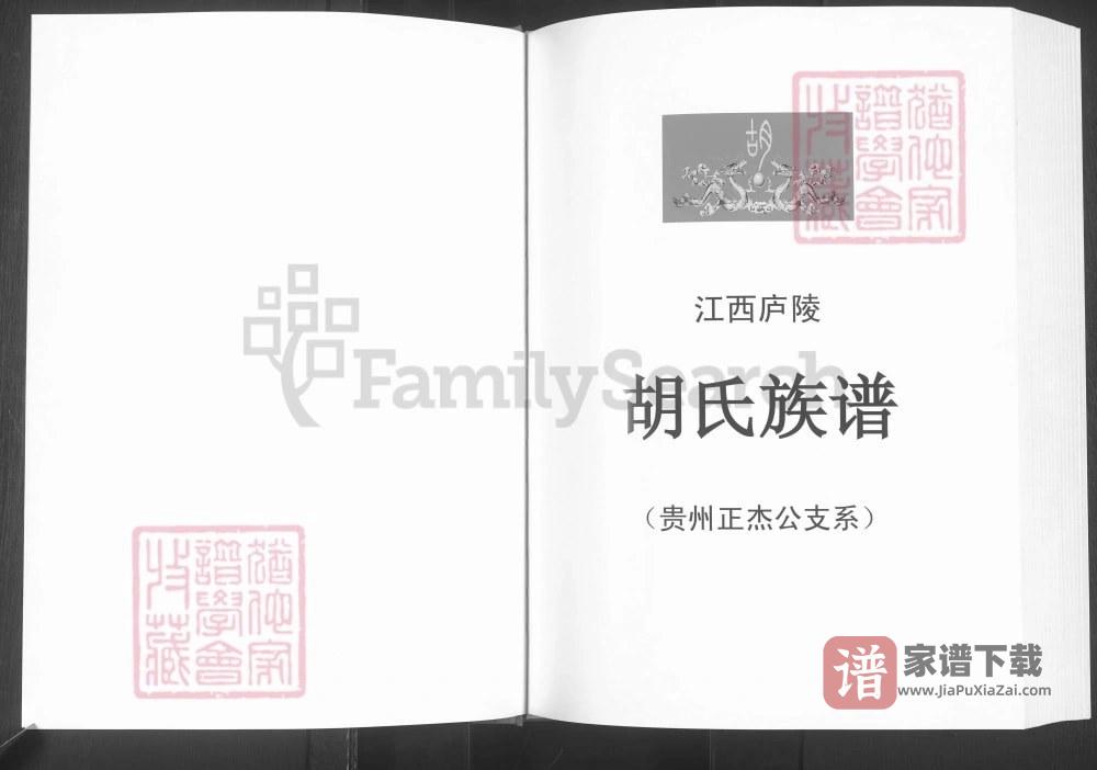 图片[2]-贵州毕节大方县胡氏族谱（贵州正杰公支系）PDF高清电子版下载-家谱下载