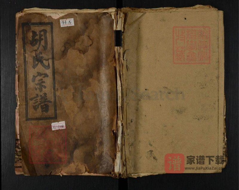 湖北咸宁通城县胡氏宗谱(安定堂)PDF高清电子版下载-家谱下载