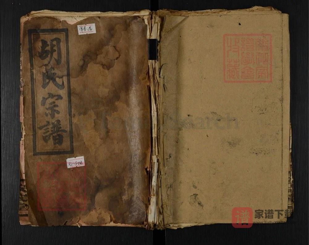 湖北咸宁通城县胡氏宗谱（安定堂）PDF高清电子版下载