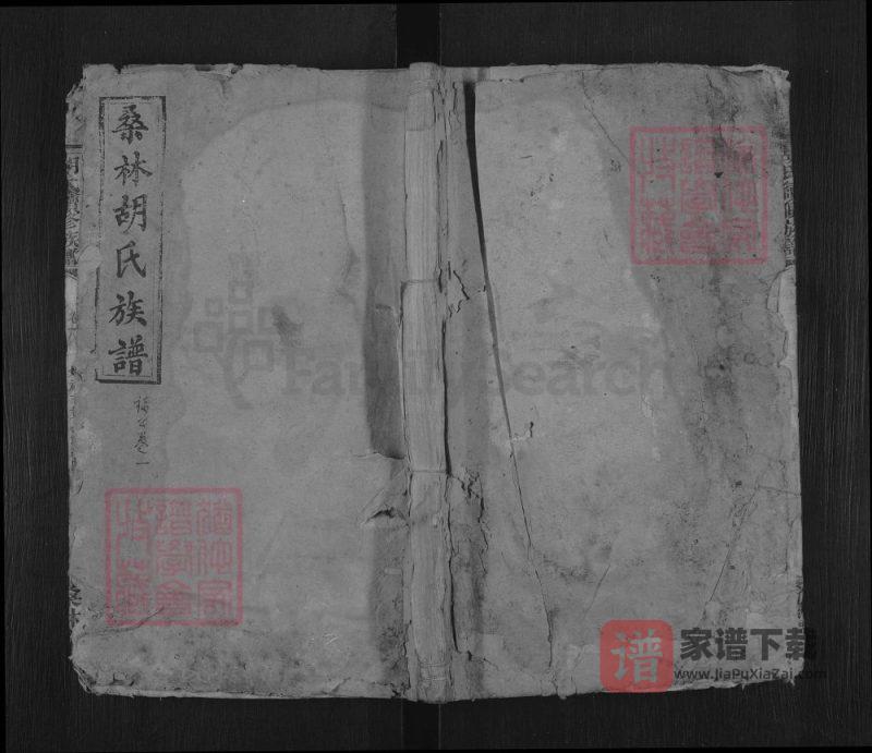 湖南湘乡桑林胡氏族谱(桑林堂)PDF高清电子版下载-家谱下载