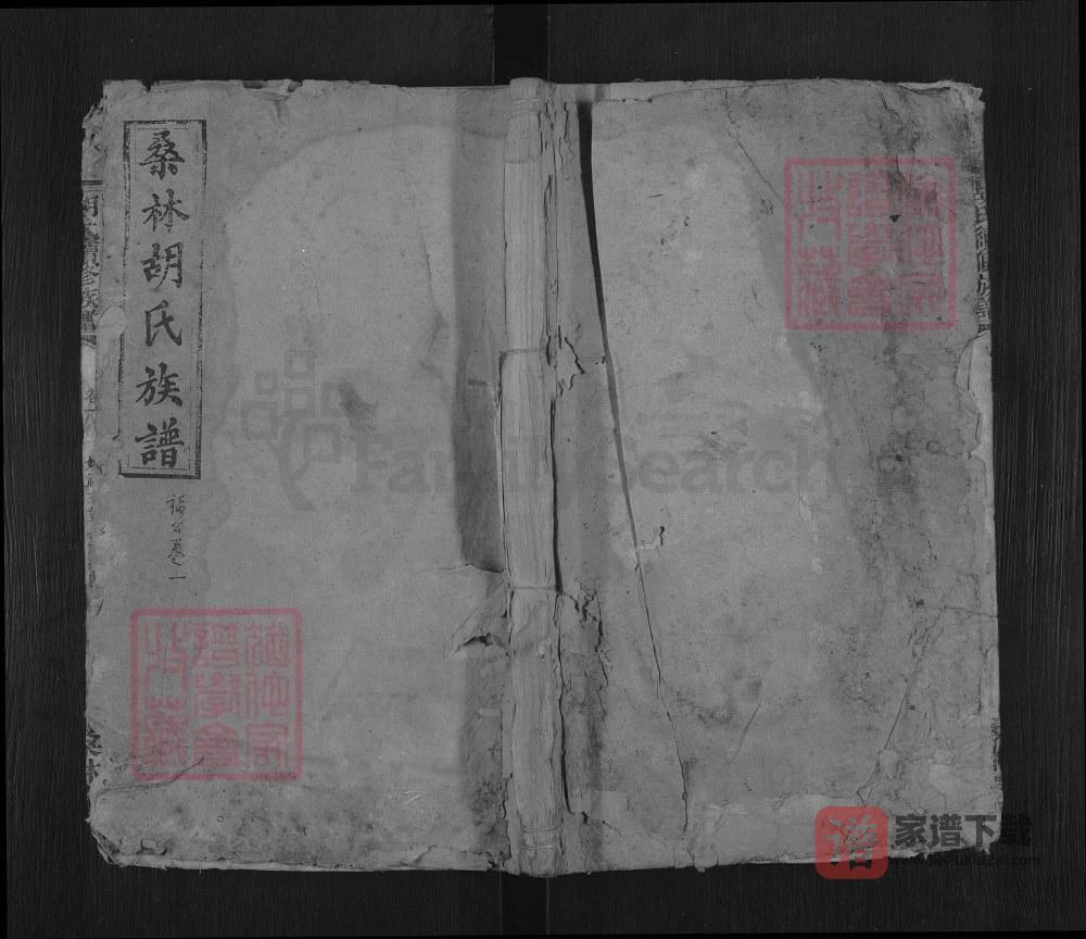 湖南湘乡桑林胡氏族谱（桑林堂）PDF高清电子版下载