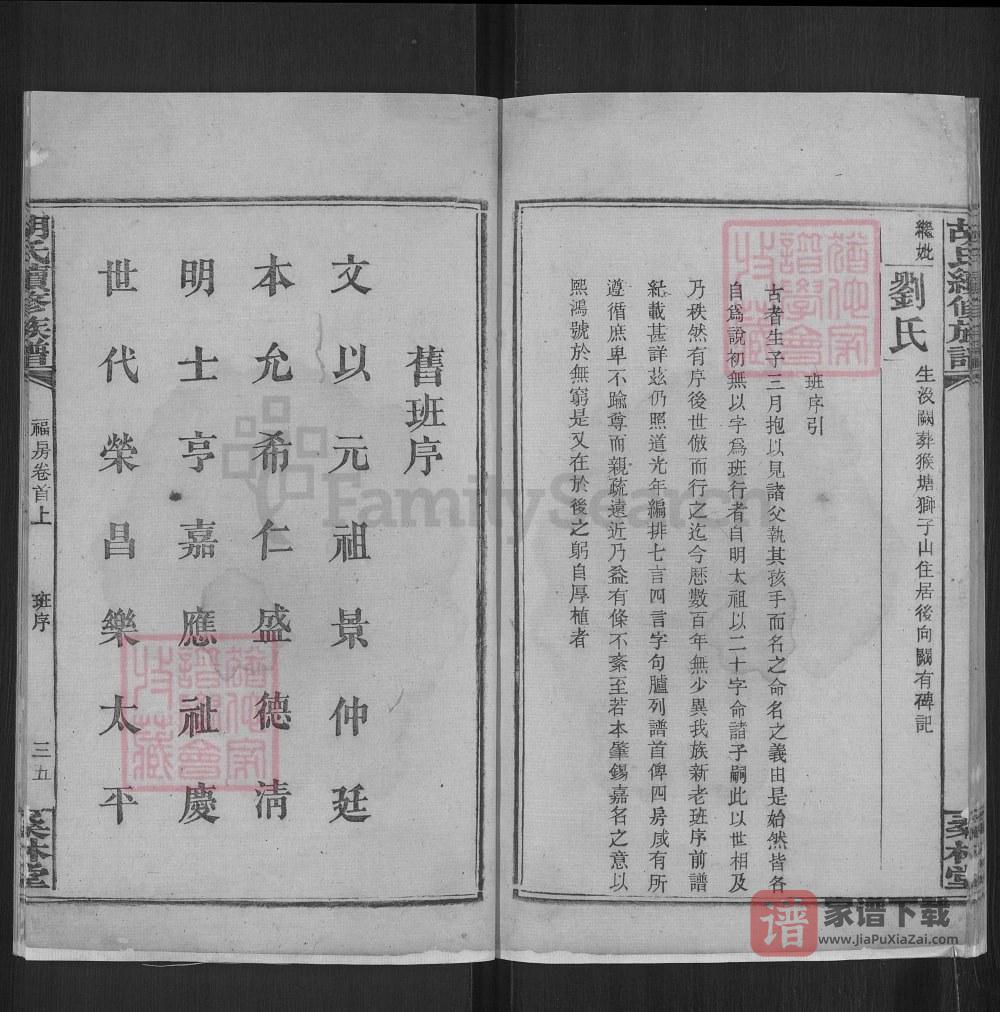 图片[2]-湖南湘乡桑林胡氏族谱（桑林堂）PDF高清电子版下载-家谱下载