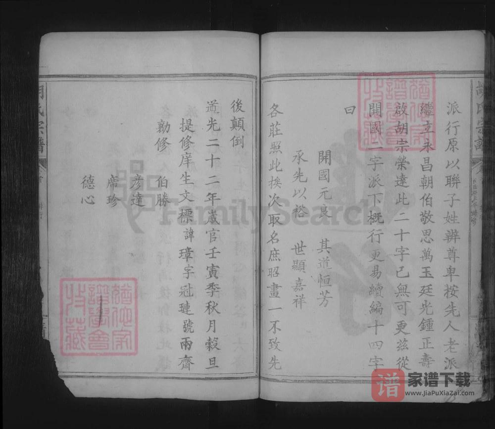 湖北武汉武昌胡氏宗谱（清畏堂）PDF高清电子版下载