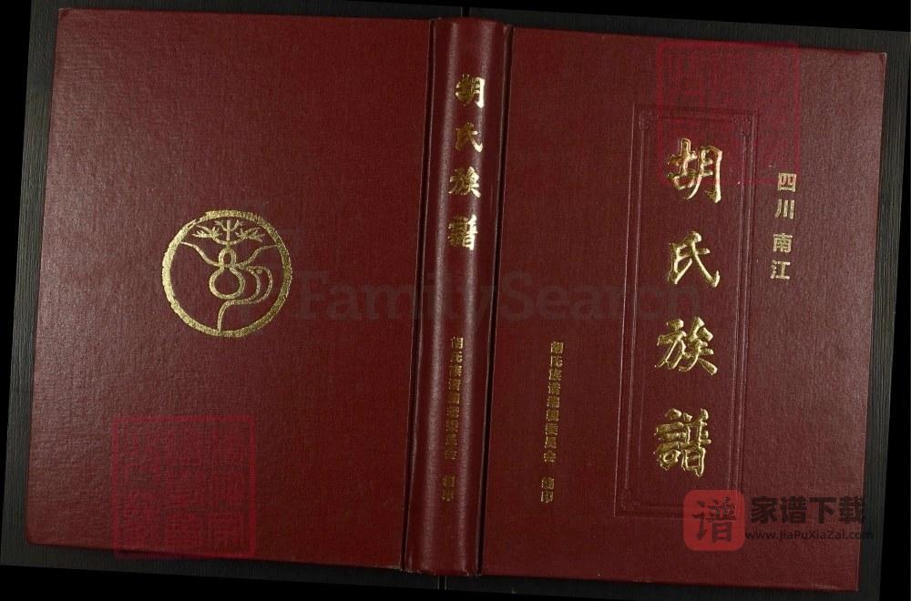 四川巴中南江县胡氏族谱PDF高清电子版下载