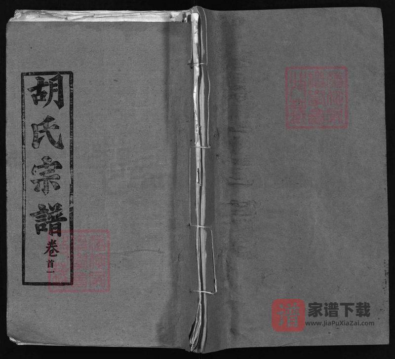 湖北黄冈胡氏宗谱（安定堂，1995年本）PDF高清电子版下载-家谱下载