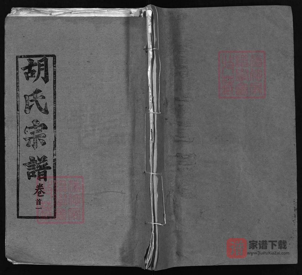 湖北黄冈胡氏宗谱（安定堂，1995年本）PDF高清电子版下载