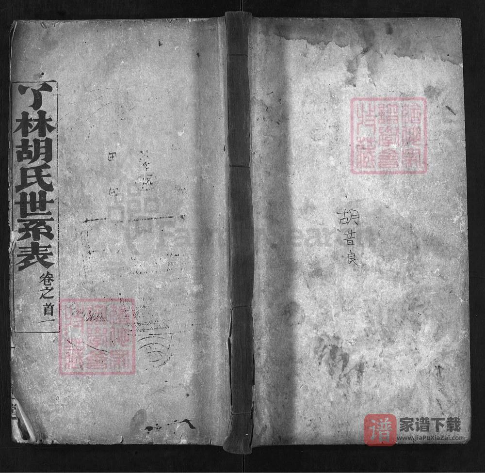 湖北麻城了林胡氏世系表（精一堂）PDF高清电子版下载