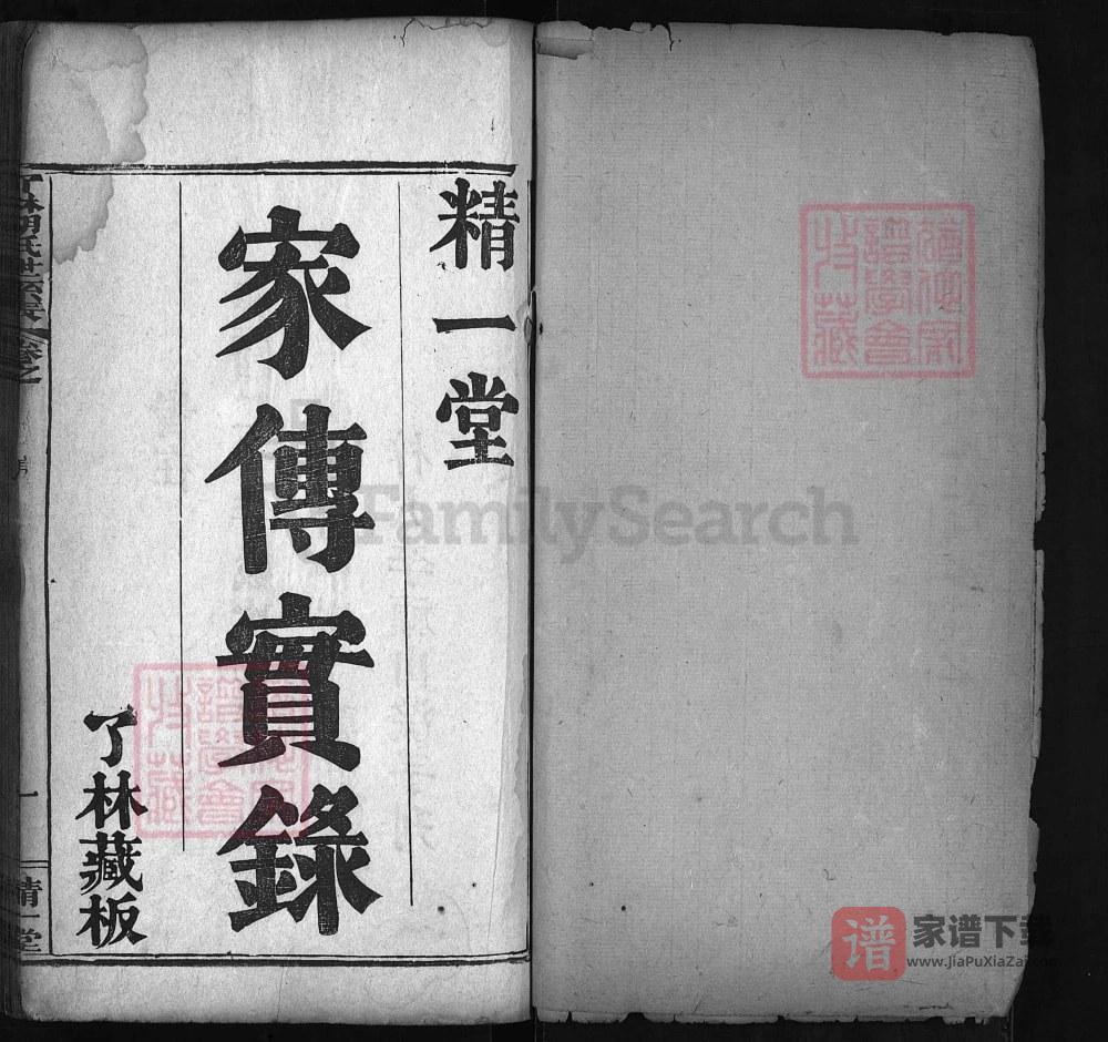 图片[2]-湖北麻城了林胡氏世系表（精一堂）PDF高清电子版下载-家谱下载
