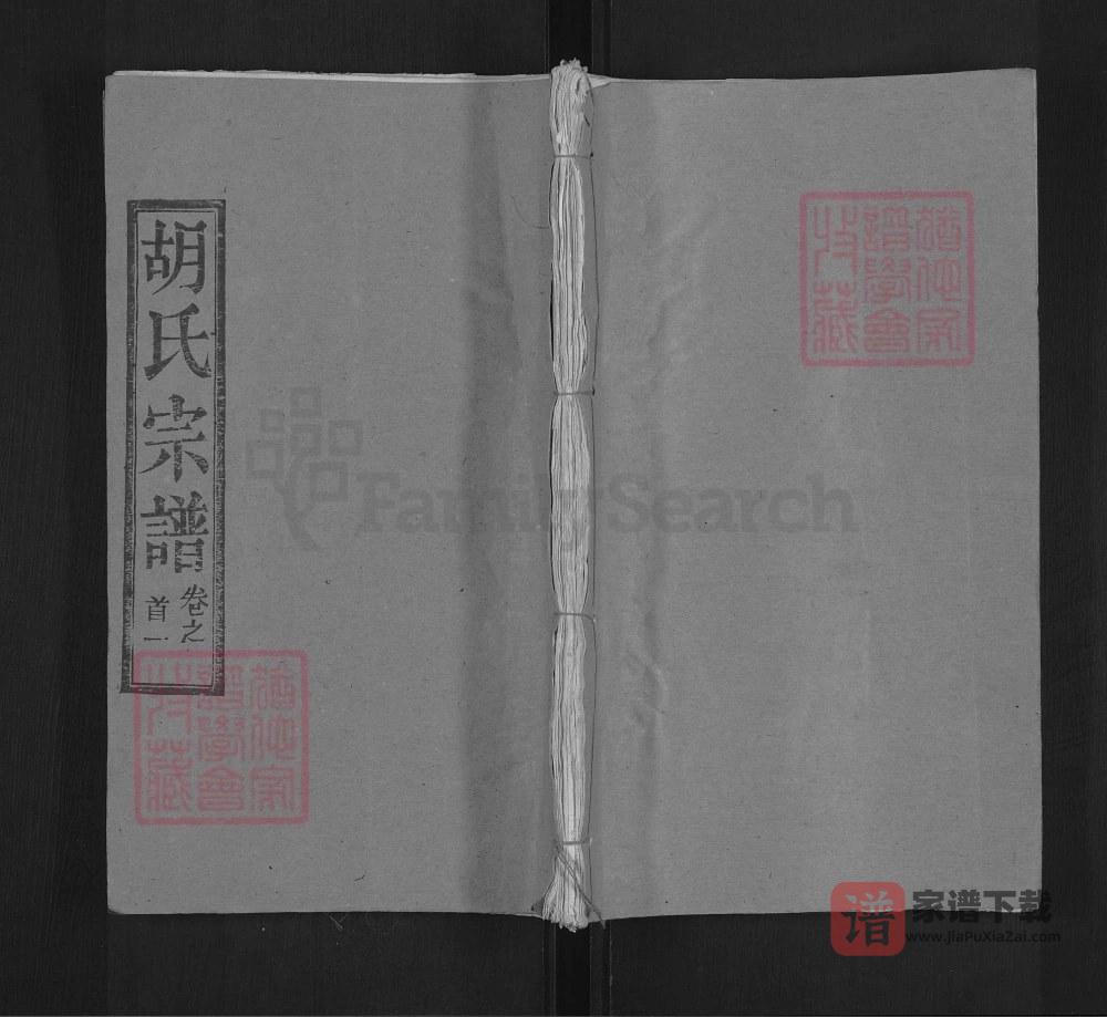 图片[1]-湖北黄冈胡氏宗谱（安定堂）PDF高清电子版下载-家谱下载