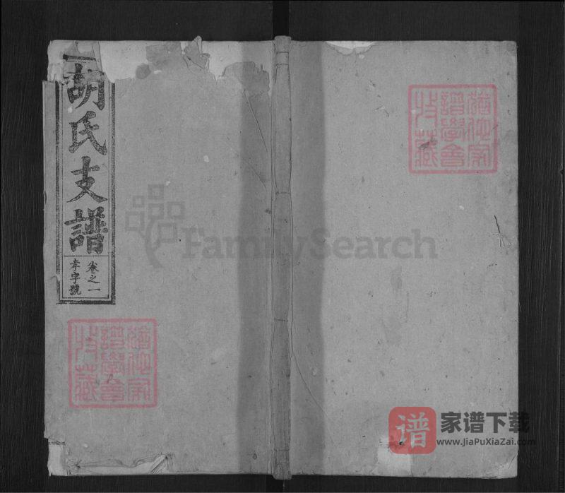 胡氏支谱(经麟堂,安徽桐城、怀宁统谱)PDF高清电子版下载-家谱下载