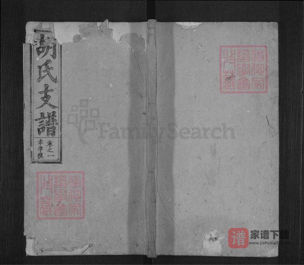 图片[1]-胡氏支谱（经麟堂，安徽桐城、怀宁统谱）PDF高清电子版下载-家谱下载