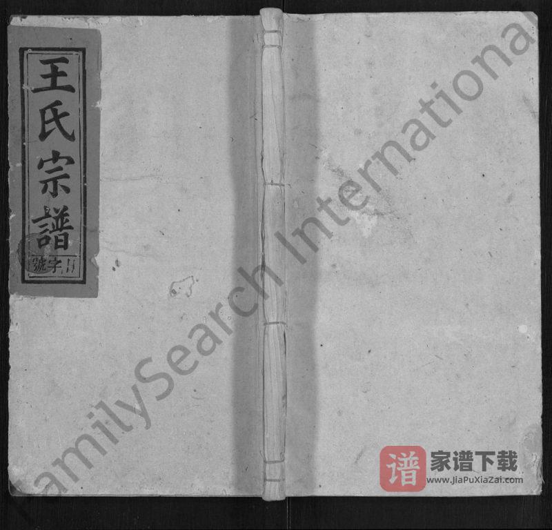 安徽宿松王氏宗谱PDF高清电子版下载-家谱下载