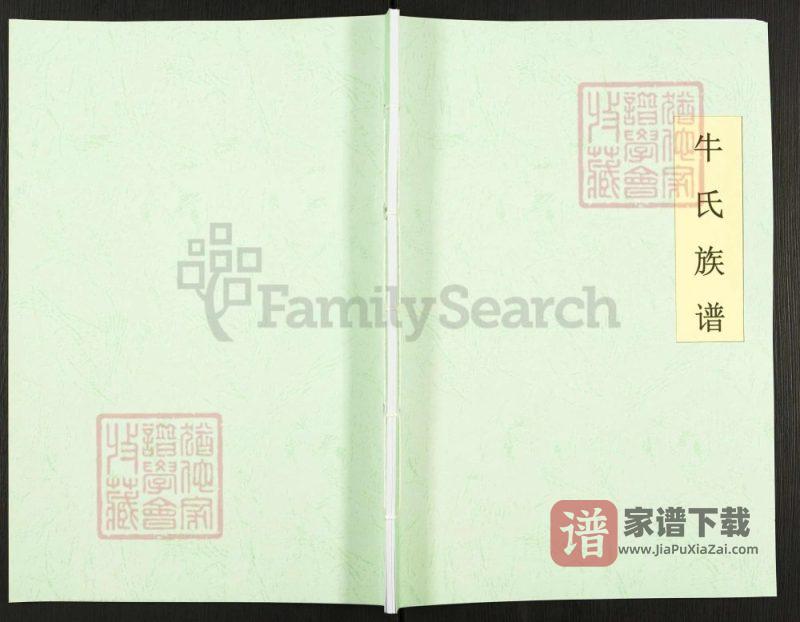 河南辉县岭西村牛氏族谱PDF高清电子版下载-家谱下载