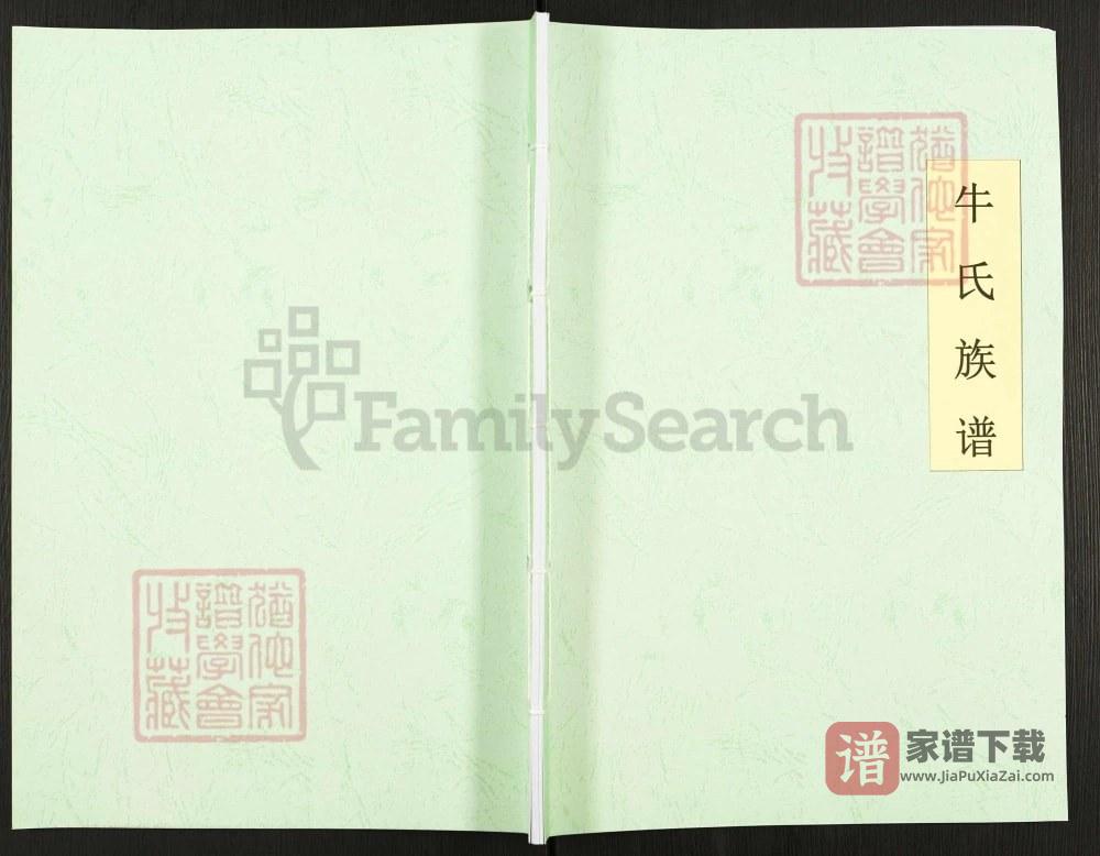 河南辉县岭西村牛氏族谱PDF高清电子版下载